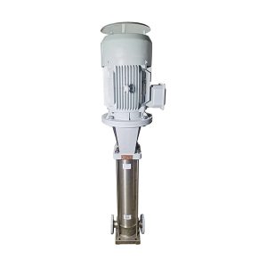 vertikal flerstegs centrifugalpump i rostfritt stål