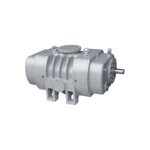 gaskyld vakuumpump för rötter